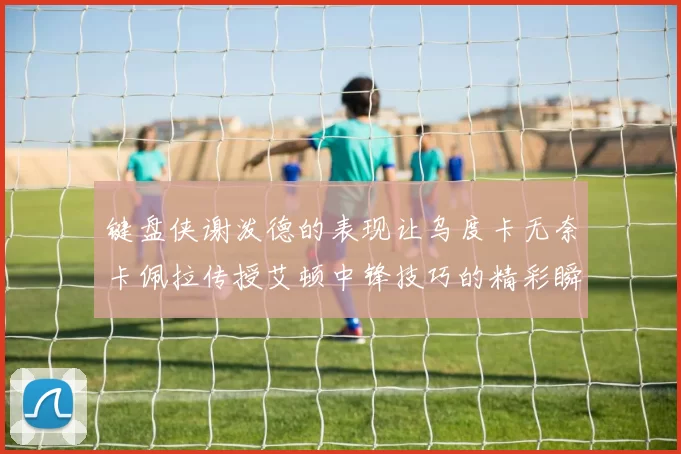 键盘侠谢泼德的表现让乌度卡无奈卡佩拉传授艾顿中锋技巧的精彩瞬间
